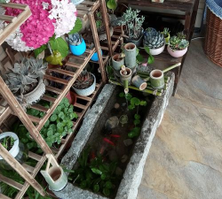 家庭养花用生根粉