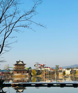 浙江婺城是什么花之乡