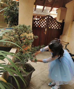 家庭养花用生根粉