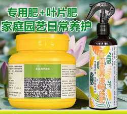 家庭养花用生根粉