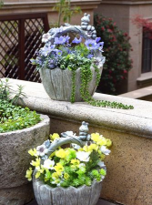 家庭养花用生根粉