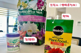 家庭养花用生根粉