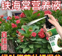 家庭养花用生根粉