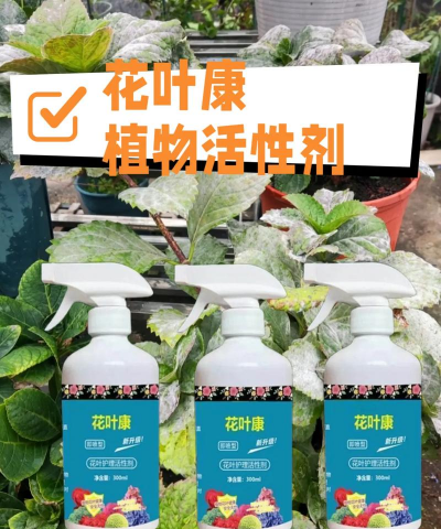 家庭养花用生根粉