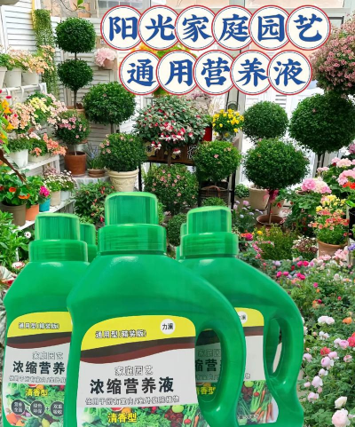 家庭养花用生根粉