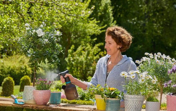 家庭养花用生根粉