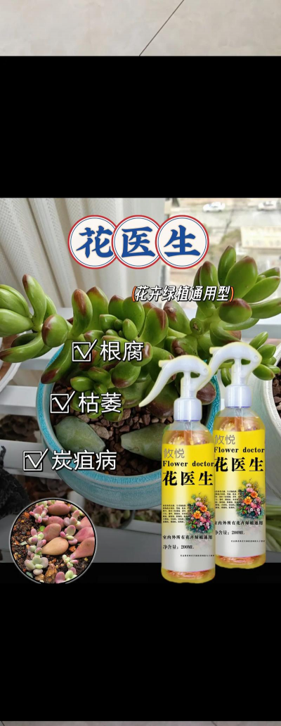 家庭养花用生根粉