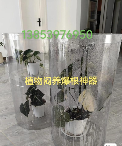 家庭养花用生根粉