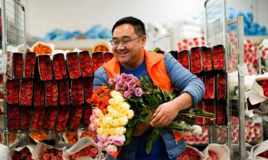 家庭养花用生根粉