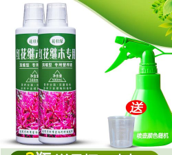 红花继木应施什么肥料