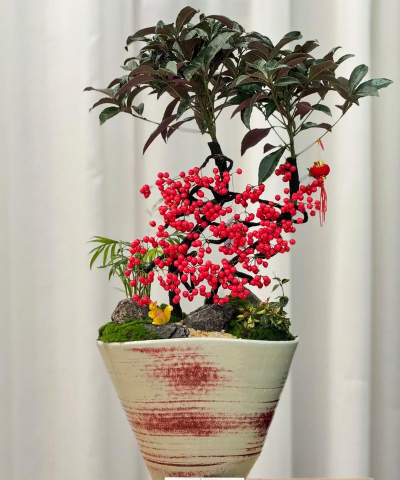 家庭养花用生根粉