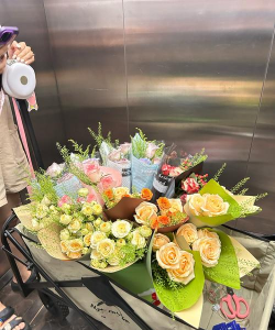 家庭养花用生根粉