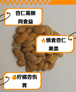 杏不和什么一起吃