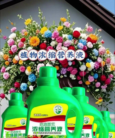 家庭养花用生根粉