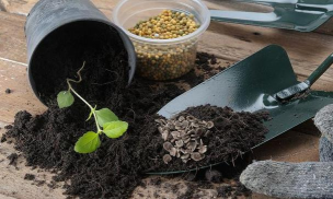 家庭养花用生根粉