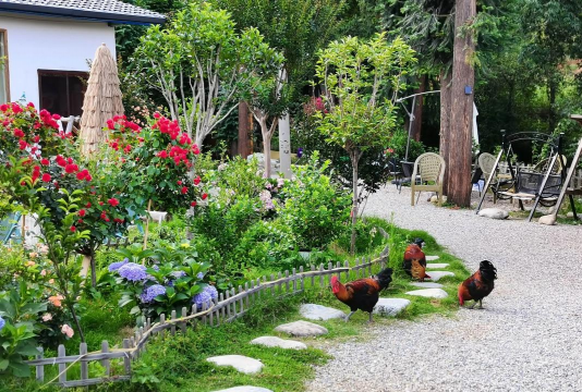 家庭养花用生根粉