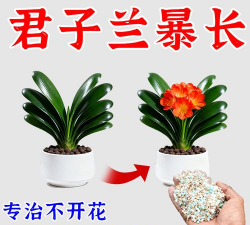 家庭养花用生根粉