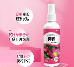 家庭养花用生根粉