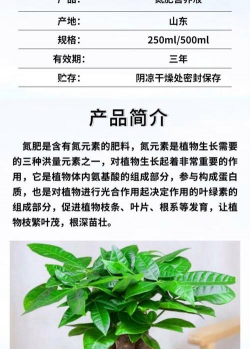 室内树花可以放什么肥料