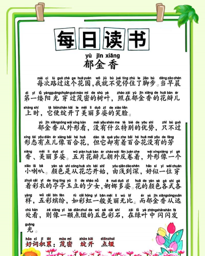 郁金香花拼音怎么写