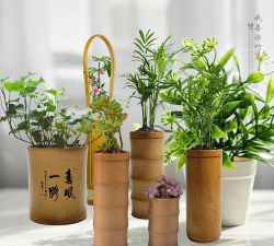 毛竹用什么样花盆好看