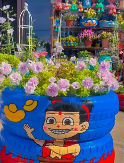 家庭养花用生根粉