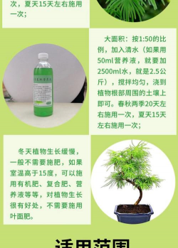 家庭养花用生根粉