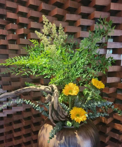 小周哥养花 小周哥养花