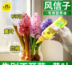 家庭养花用生根粉