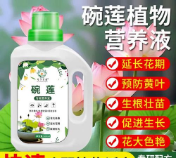 家庭养花用生根粉