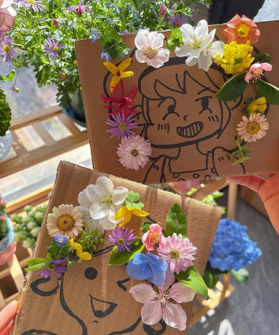 家庭养花用生根粉