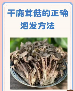 怎么腌蘑菇不长白毛