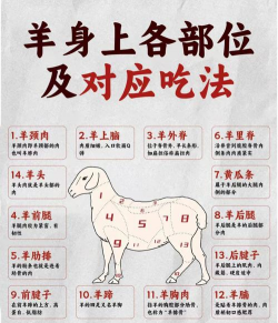 牛羊合欢最团结怎么解 牛羊合欢最团结怎么解