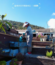 家庭养花用生根粉