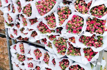 云南鲜花如何运输