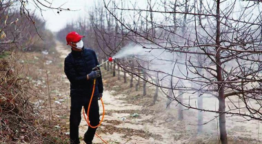 家庭养花用生根粉