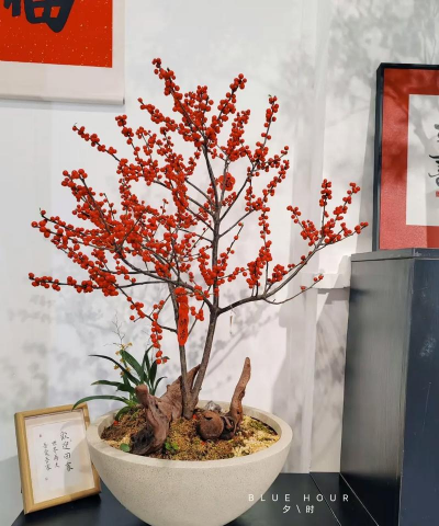 冬青像什么东西