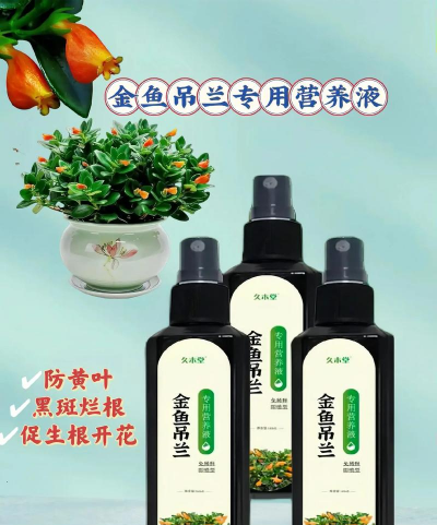 吊兰什么药物代替营养液 吊兰什么药物代替营养液