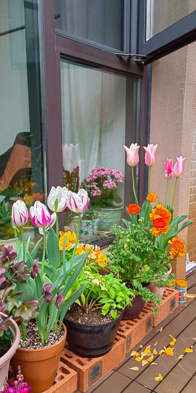 养花时光碎花 养花时光碎花