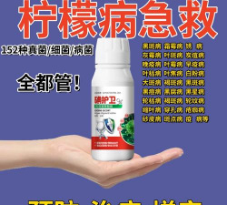 家庭养花用生根粉