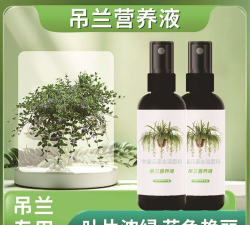 家庭养花用生根粉