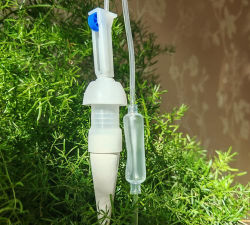 家庭养花用生根粉