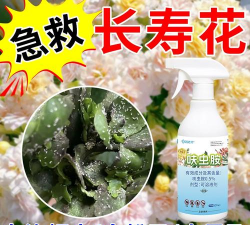 家庭养花用生根粉