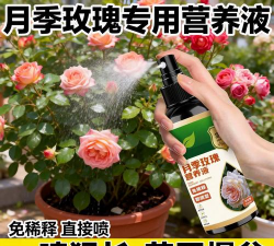 家庭养花用生根粉