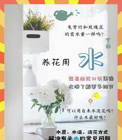 家庭养花用生根粉