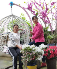 家庭养花用生根粉