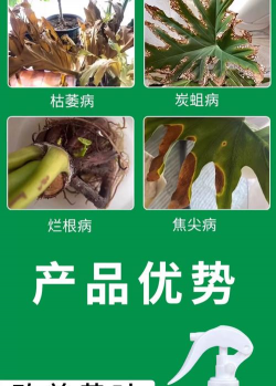 家庭养花用生根粉