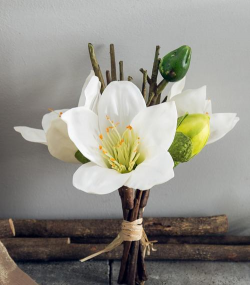 木棉花搭配什么花好看