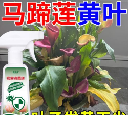 家庭养花用生根粉