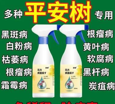 家庭养花用生根粉